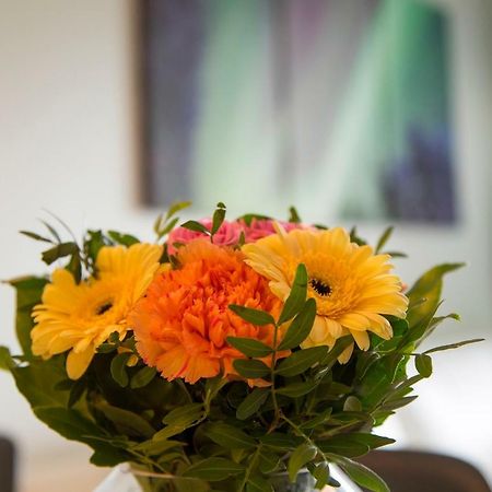Vasko Luxurious Suites, Nouka Rovaniemi Luaran gambar